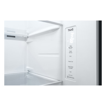 LG GSLD80PZRD Freestanding Side-by-Side Fridge Freezer image 2